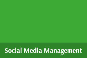 online marketing_social media_300x200.jpg